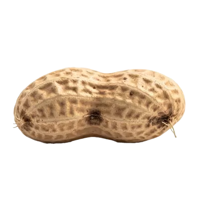 Imagen PNG para descargar